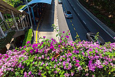 《第一狂战士：卡赞》概览视频 介绍背景＆角色＆设定